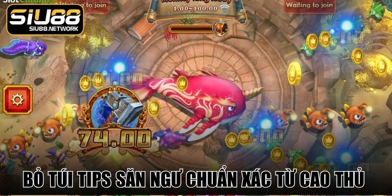 Bỏ túi tips săn ngư chuẩn xác từ cao thủ