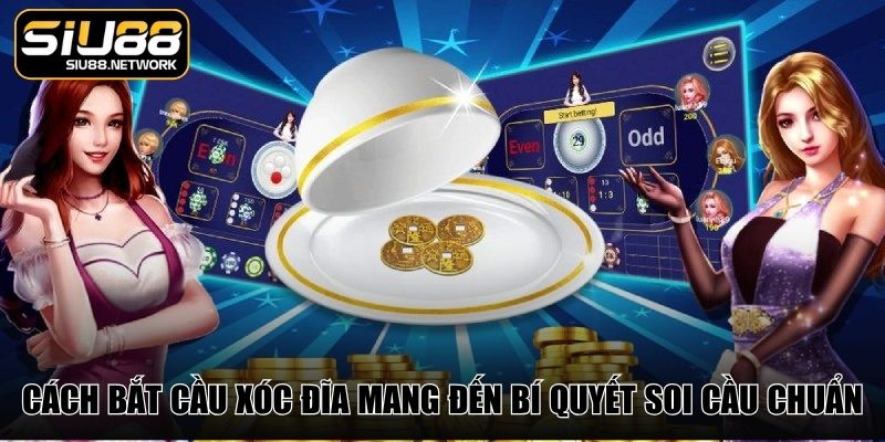 Cách bắt cầu xóc đĩa mang đến bí quyết soi cầu chuẩn