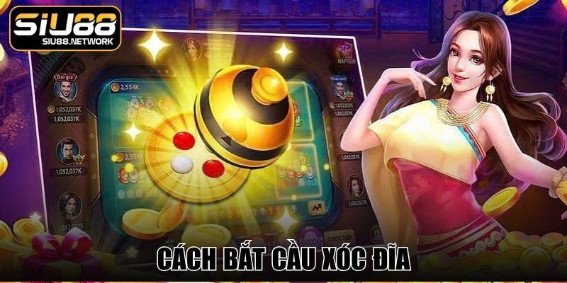 Cách Bắt Cầu Xóc Đĩa Dễ Áp Dụng, Tăng Cơ Hội Tại Siu88