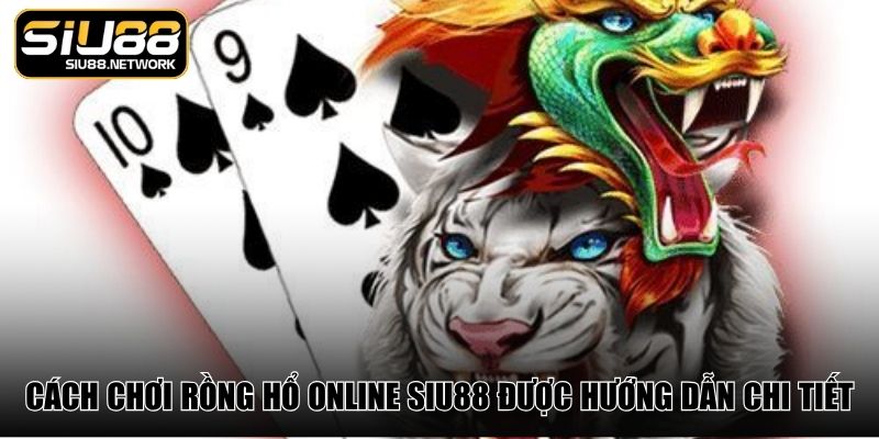 Cách chơi Rồng Hổ online Siu88 được hướng dẫn chi tiết