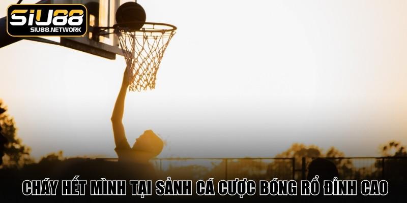 Cháy hết mình tại sảnh cá cược bóng rổ đỉnh cao Cháy hết mình tại sảnh cá cược bóng rổ đỉnh cao