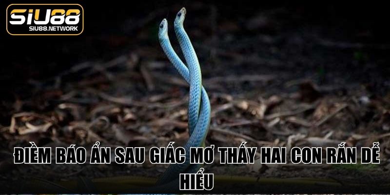 Điềm báo ẩn sau giấc mơ thấy hai con rắn dễ hiểu