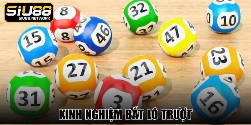 Kinh Nghiệm Bắt Lô Trượt Mang Đến Tỷ Lệ Thắng Khủng