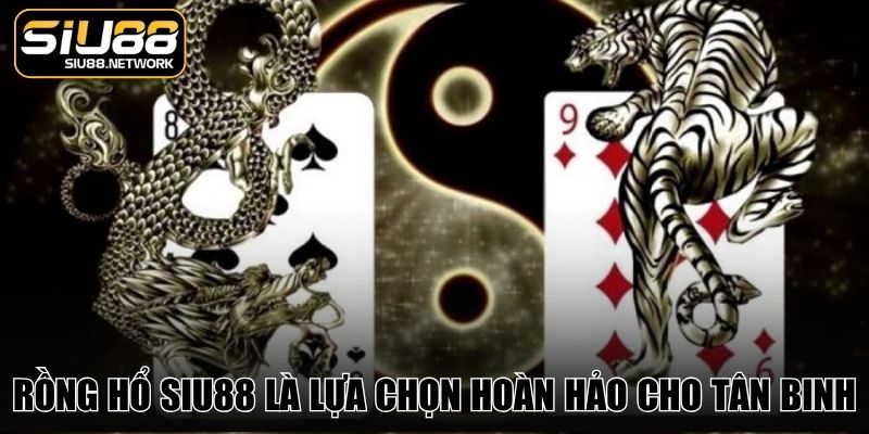 Rồng Hổ Siu88 là lựa chọn hoàn hảo cho tân binh