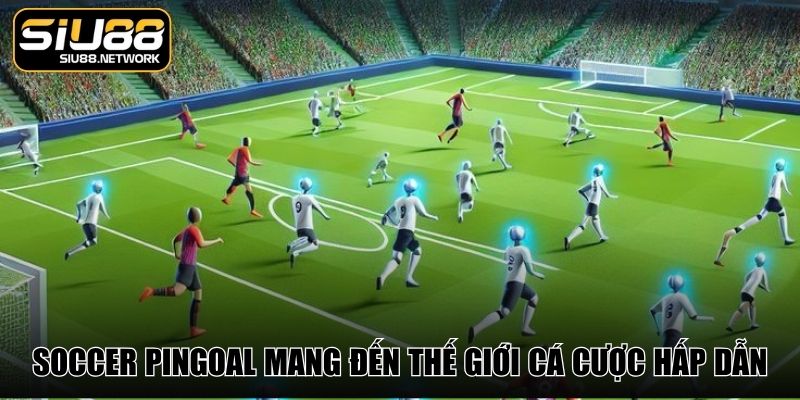 Soccer Pingoal mang đến thế giới cá cược hấp dẫn