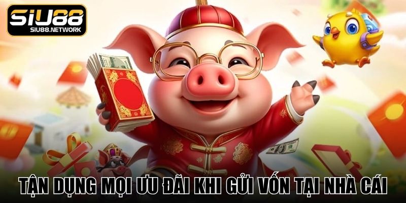 Tận dụng mọi ưu đãi khi gửi vốn tại nhà cái