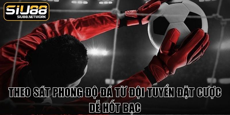 Theo sát phong độ đá từ đội tuyển đặt cược dễ hốt bạc