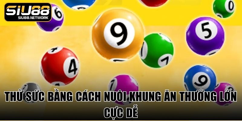 Thử sức bằng cách nuôi khung ăn thưởng lớn cực dễ
