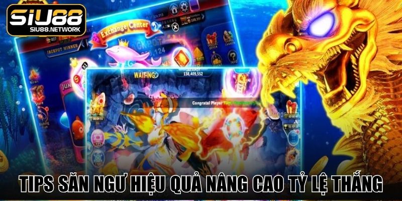 Tips săn ngư hiệu quả nâng cao tỷ lệ thắng