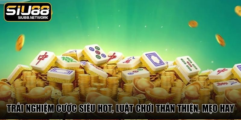 Trải nghiệm cược siêu hot, luật chơi thân thiện, mẹo hay